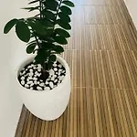 Novo Apartamento Liz 3